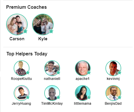 Wealthy Affiliate Review - Private Coaching